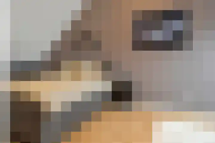 Sergeant 4 Gorinchem thumbnail 31
