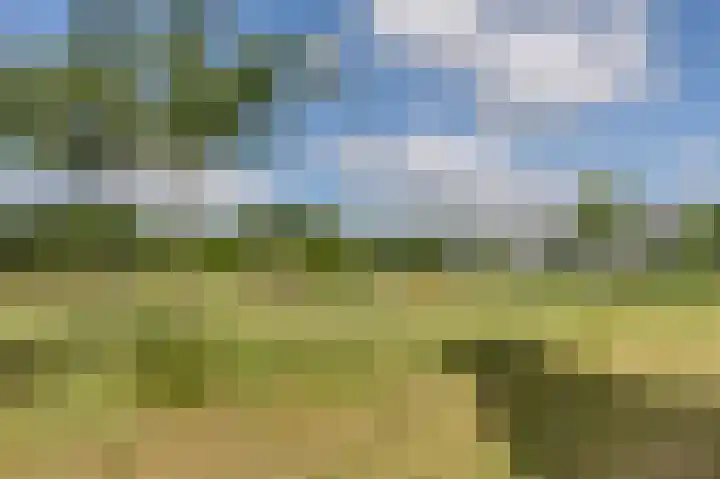 Sergeant 4 Gorinchem thumbnail 34