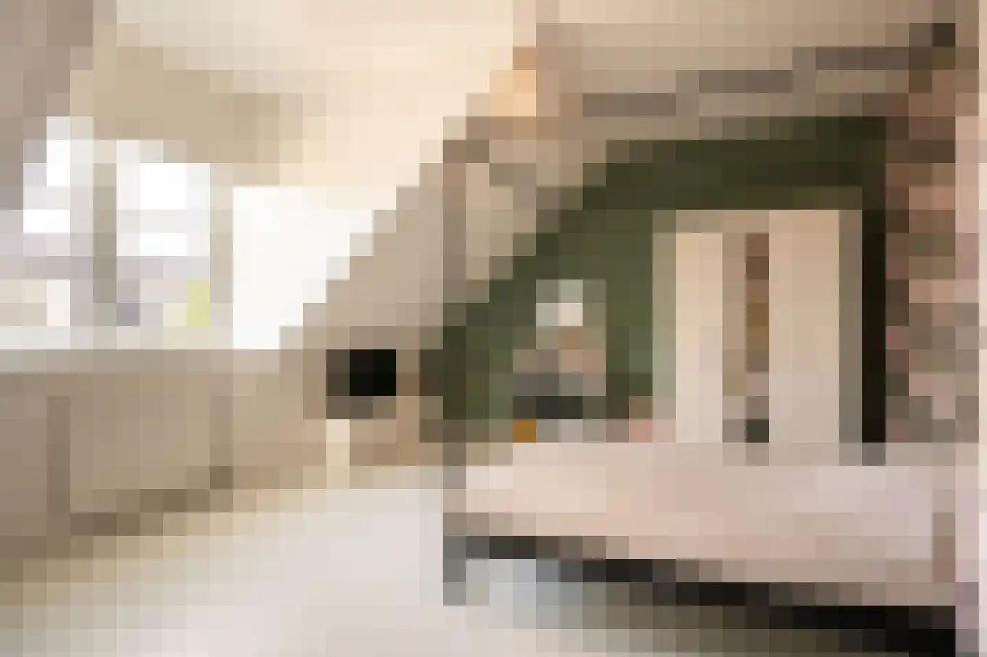 Sergeant 8 Gorinchem thumbnail 44