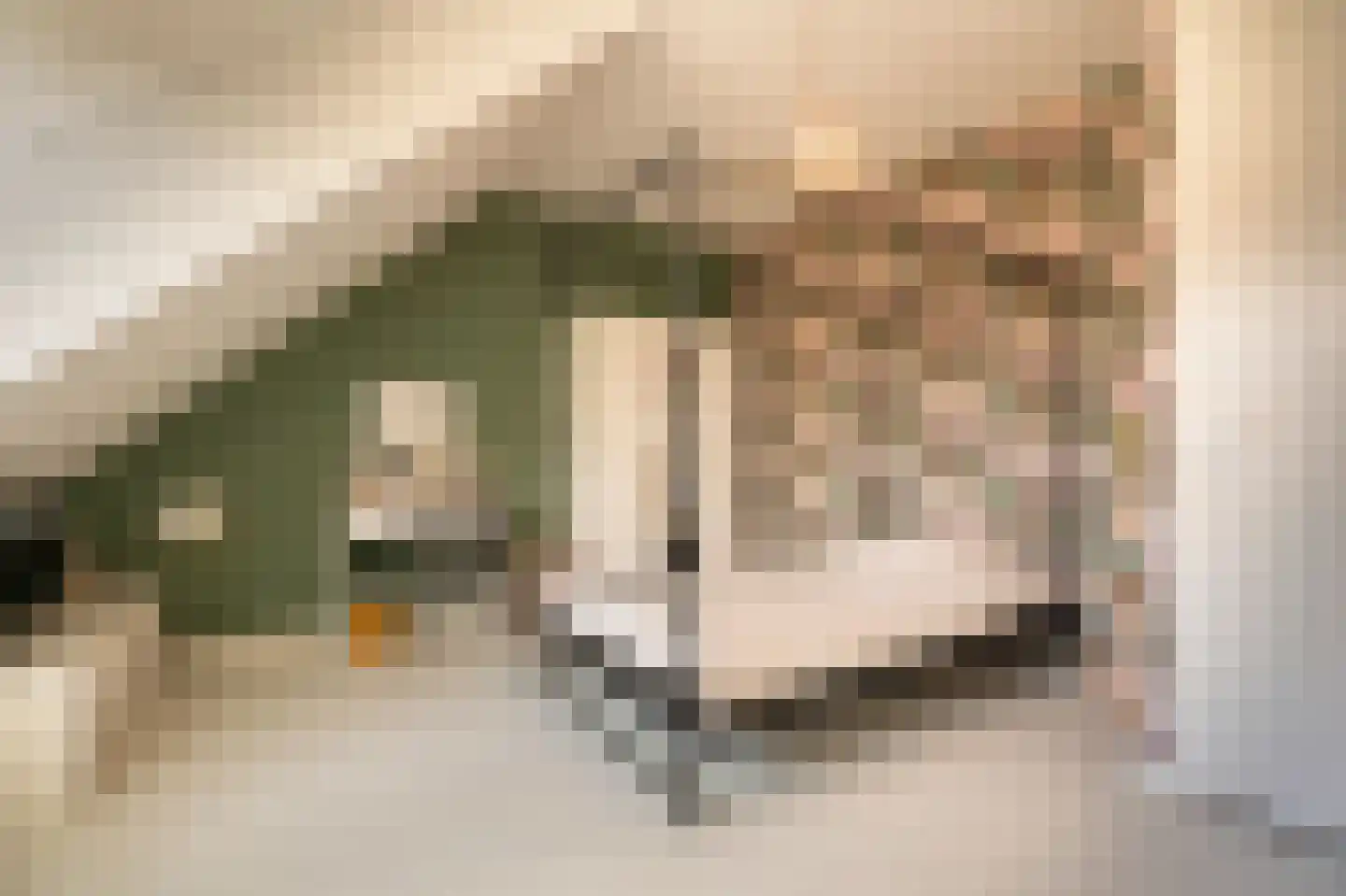 Sergeant 8 Gorinchem thumbnail 46