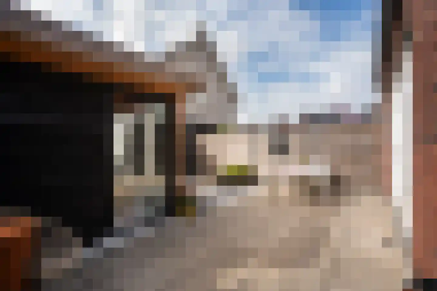 Sergeant 8 Gorinchem thumbnail 49