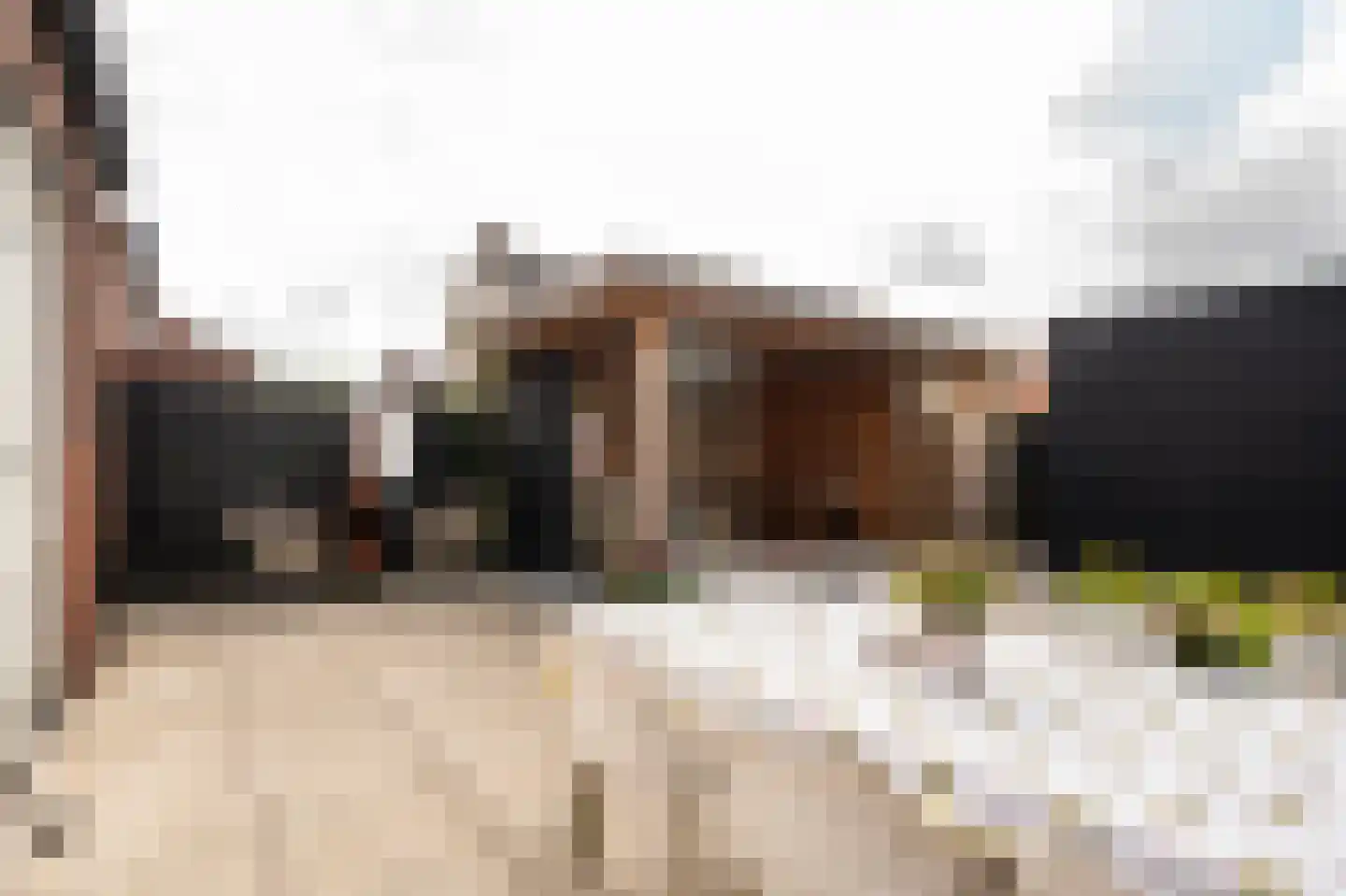 Sergeant 8 Gorinchem thumbnail 50