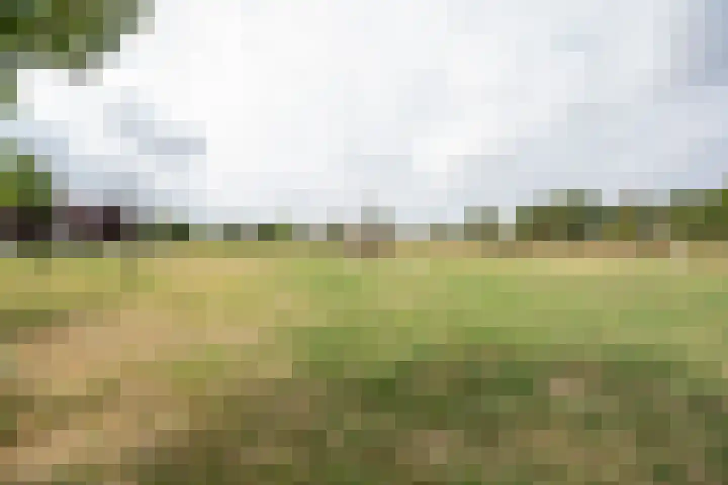 Sergeant 8 Gorinchem thumbnail 63