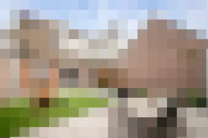 Sergeant Brownstraat 12 Oss thumbnail 19