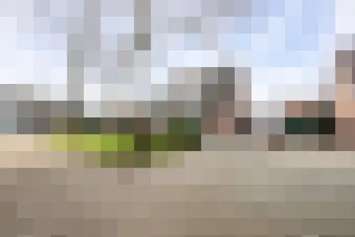 Sergeant Brownstraat 12 Oss thumbnail 23