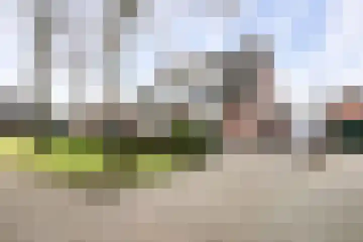 Sergeant Brownstraat 12 Oss thumbnail 5