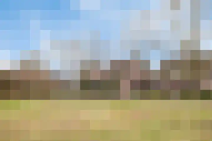 Sergeant Brownstraat 4 Oss foto 2