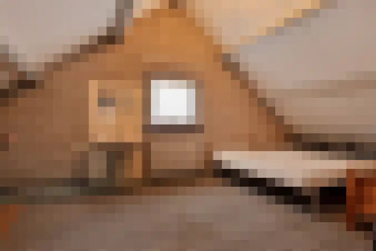 Sergeant Brownstraat 4 Oss thumbnail 20