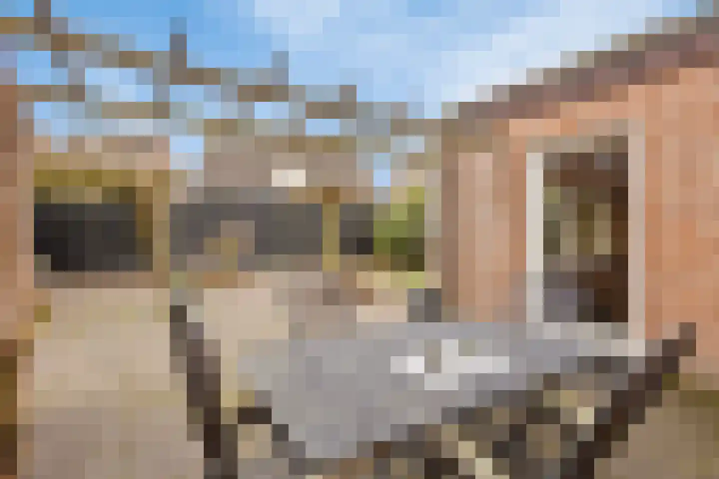 Sergeant Brownstraat 4 Oss thumbnail 24