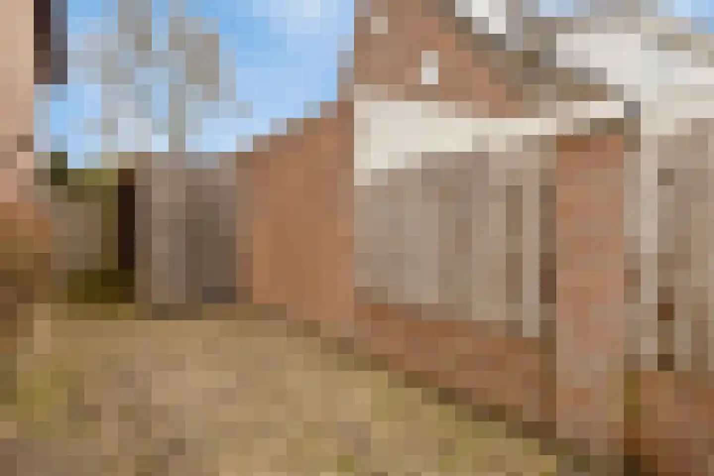 Sergeant Brownstraat 4 Oss thumbnail 26