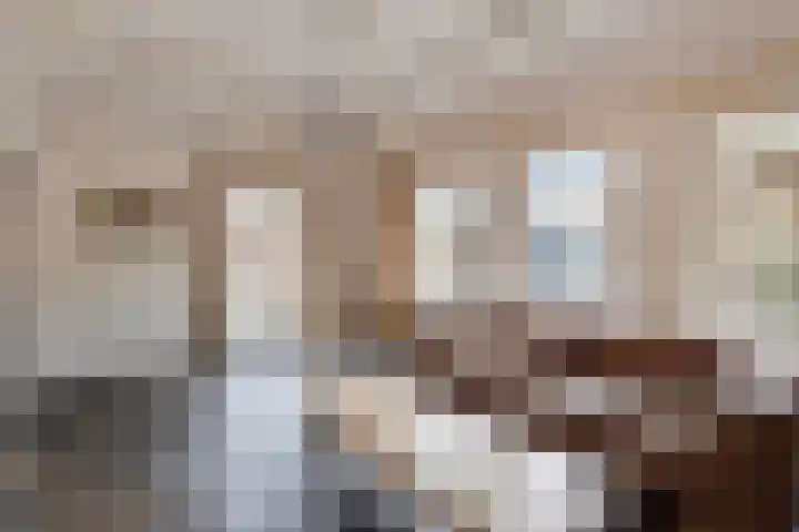 Sergeant Brownstraat 4 Oss foto 3