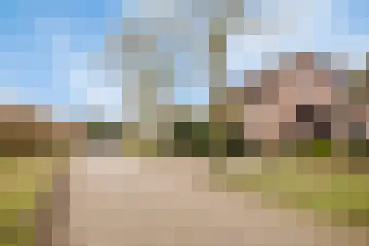 Sergeant Brownstraat 4 Oss thumbnail 30