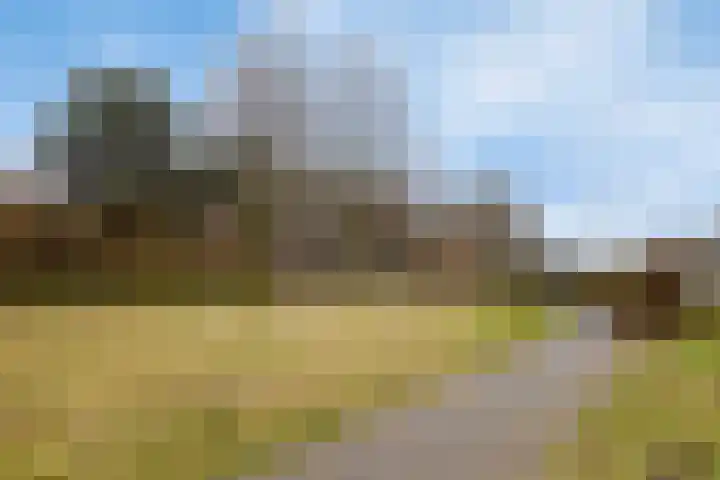 Sergeant Brownstraat 4 Oss thumbnail 32