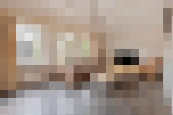 Sergeant Brownstraat 4 Oss thumbnail 4