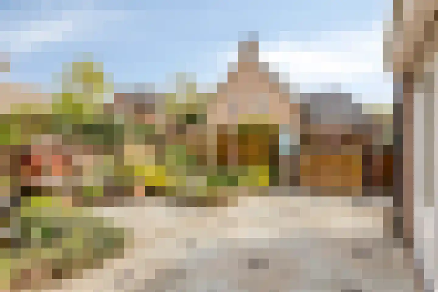 Sergeant Thompsonstraat 8 Heesch thumbnail 21