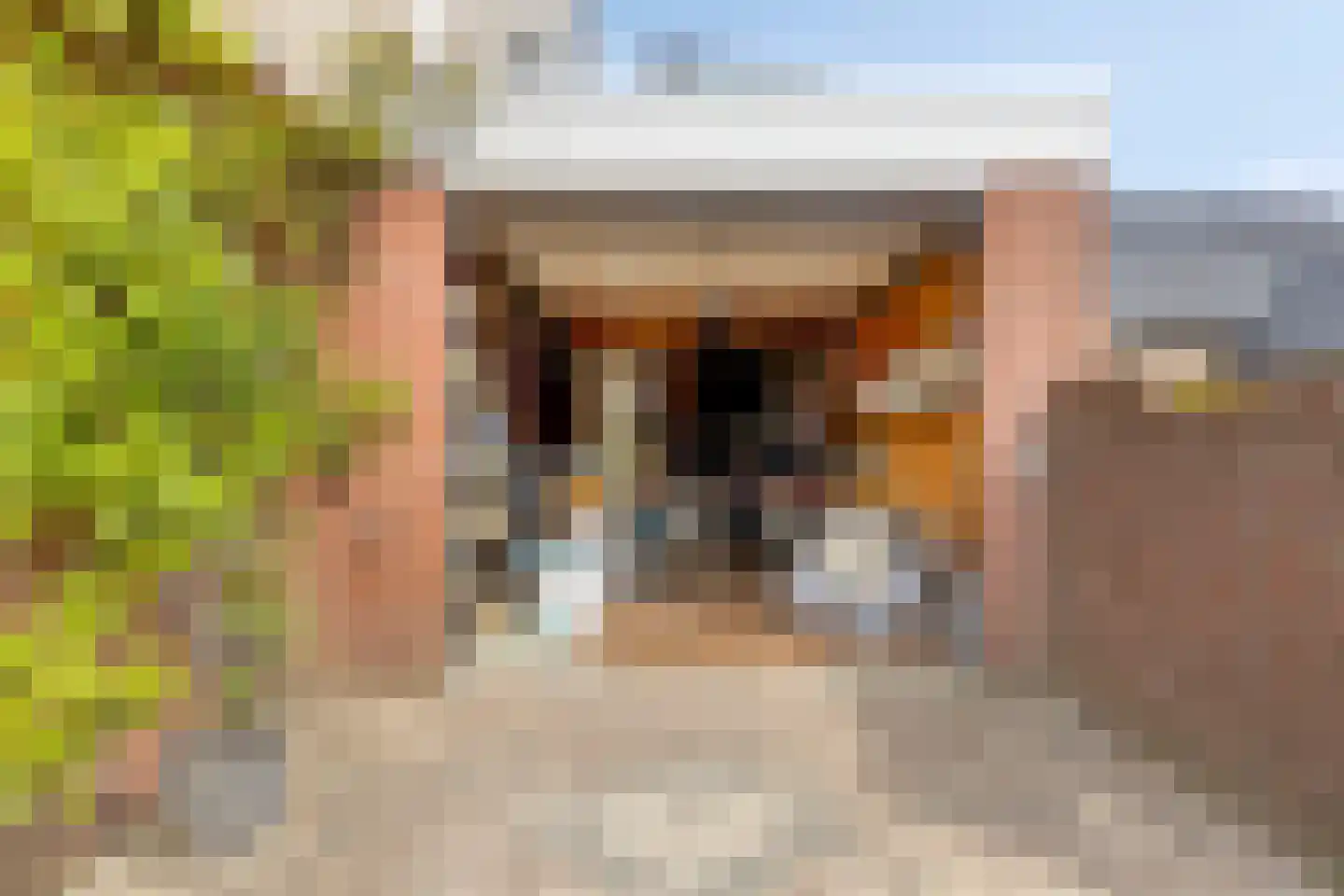 Sergeant Thompsonstraat 8 Heesch thumbnail 23