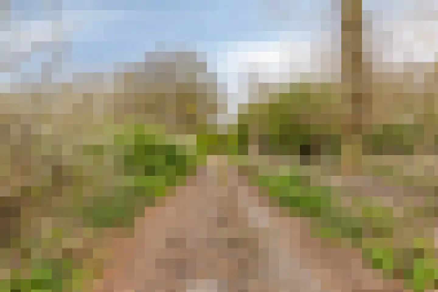 Sergeant Thompsonstraat 8 Heesch thumbnail 29