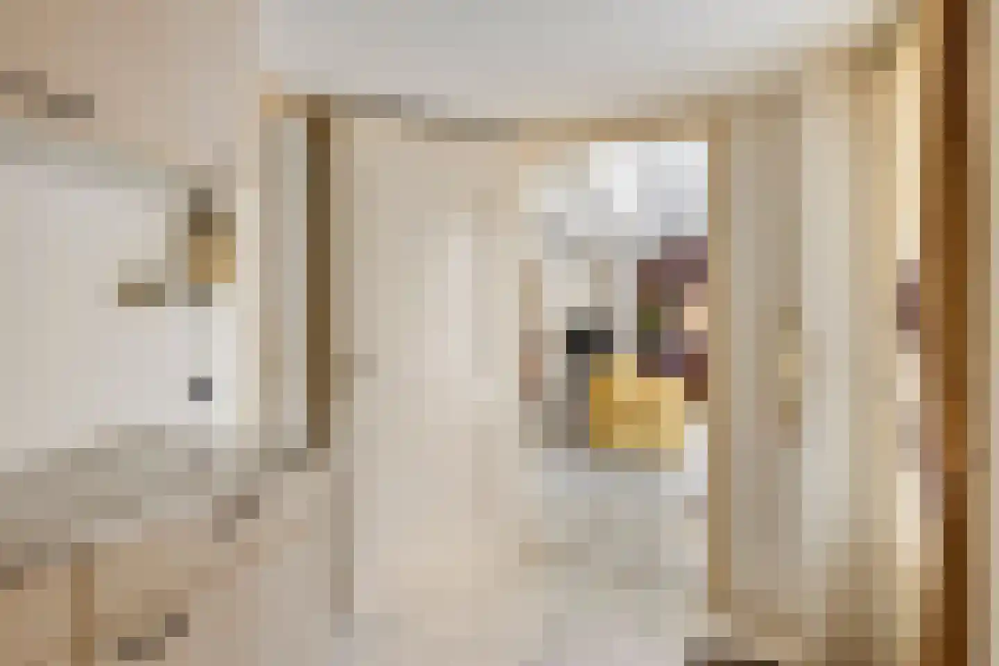 Sergeant Thompsonstraat 8 Heesch thumbnail 5