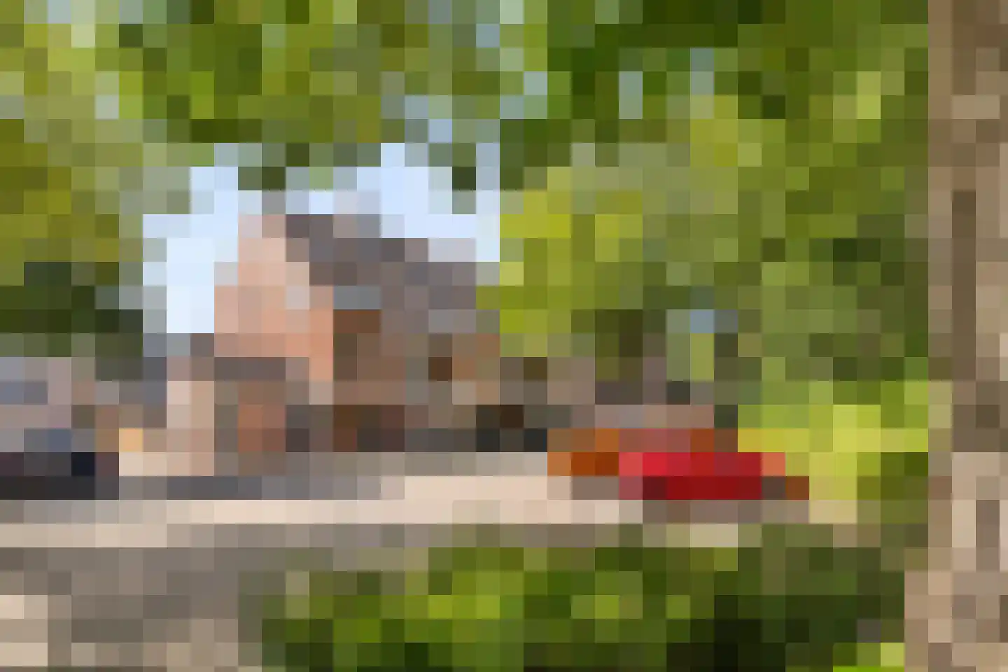 Sering 130 Hellevoetsluis thumbnail 31