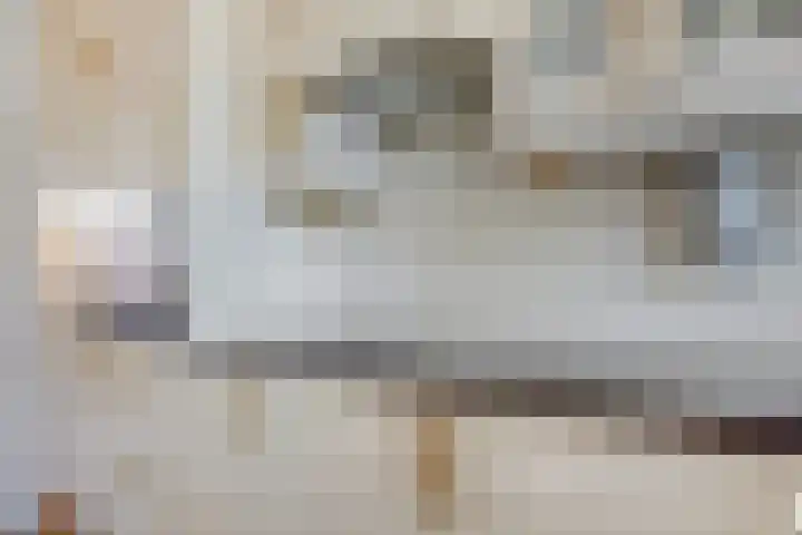 Sering 136 Hellevoetsluis thumbnail 13