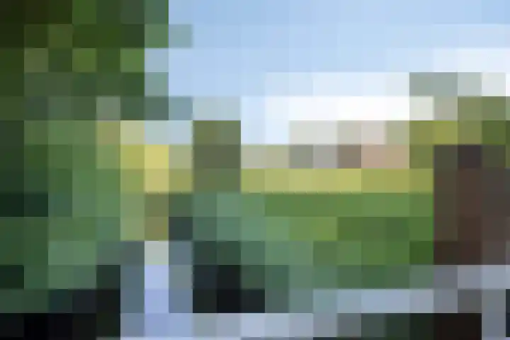 Sering 136 Hellevoetsluis thumbnail 27