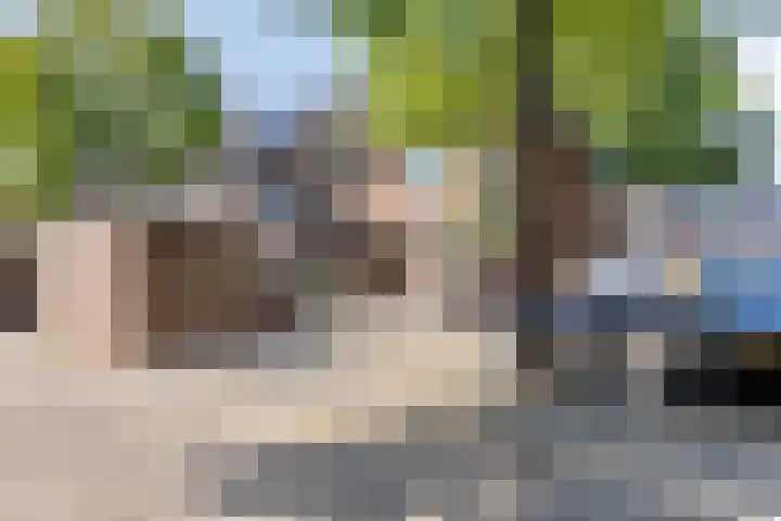 Sering 136 Hellevoetsluis thumbnail 28
