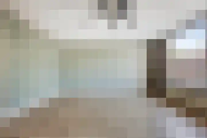 Sering 136 Hellevoetsluis thumbnail 9
