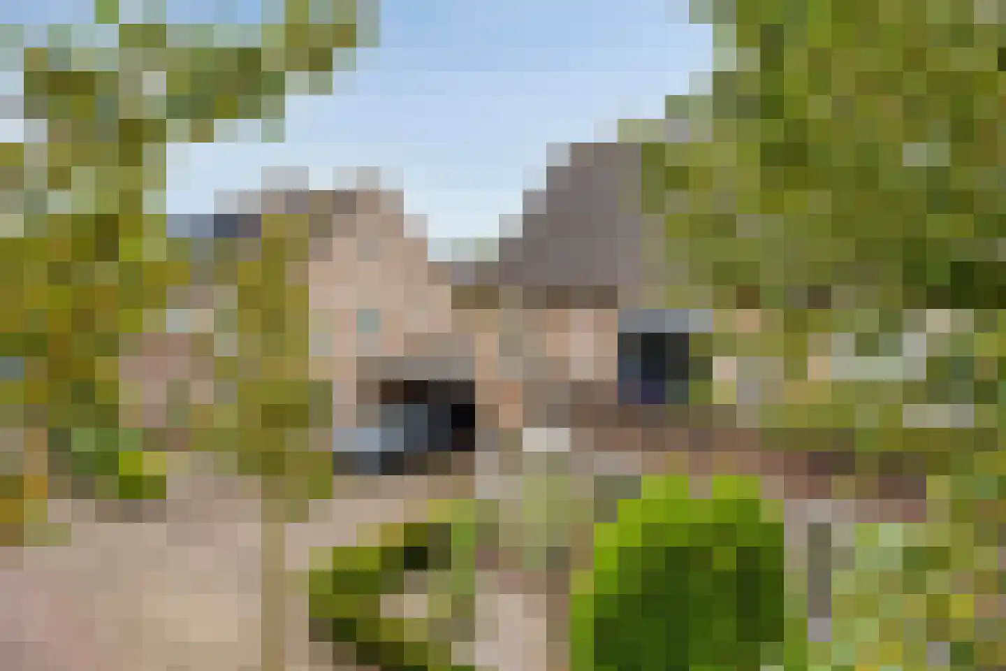 Sering 16 Cuijk thumbnail 10