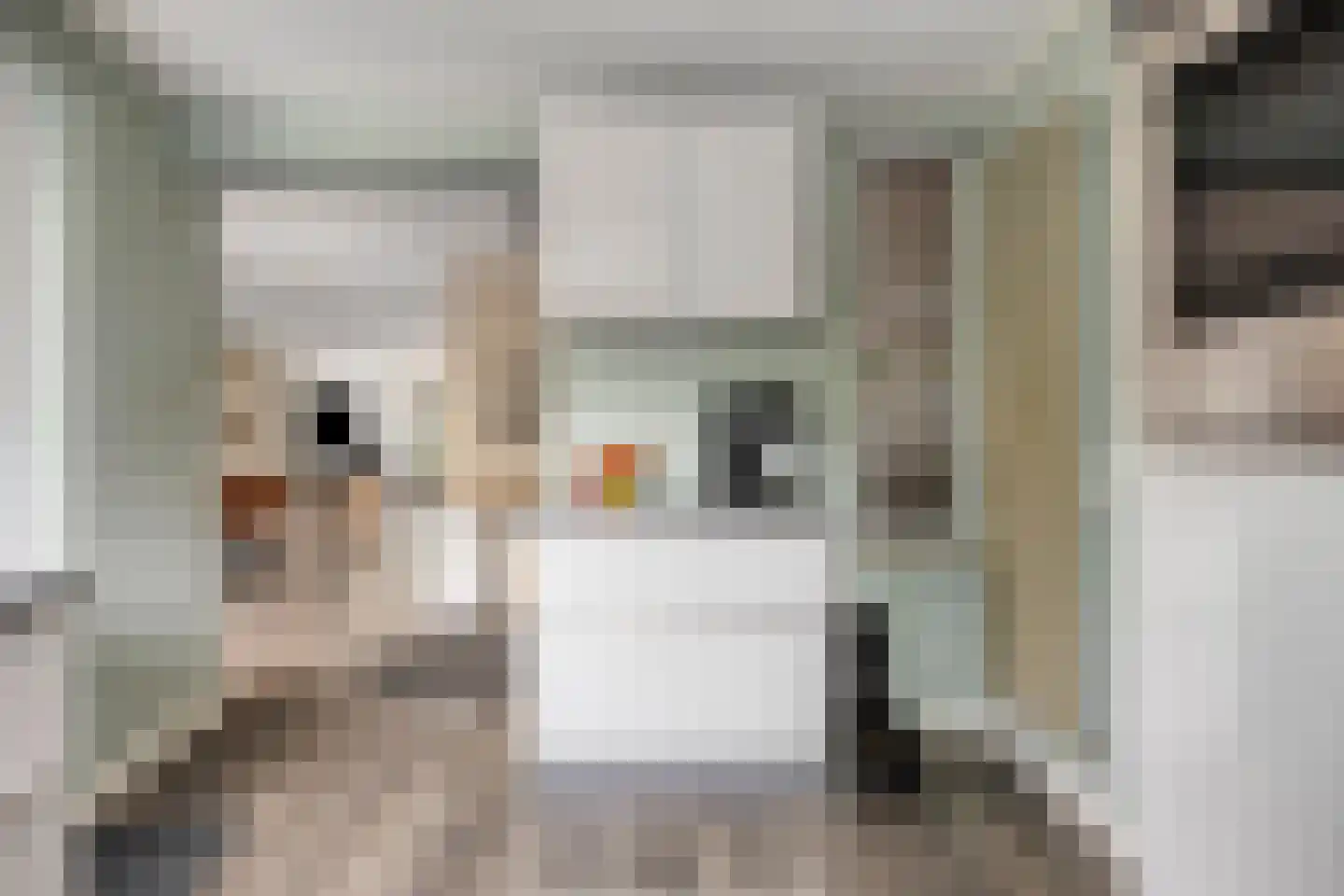 Sering 16 Cuijk thumbnail 24