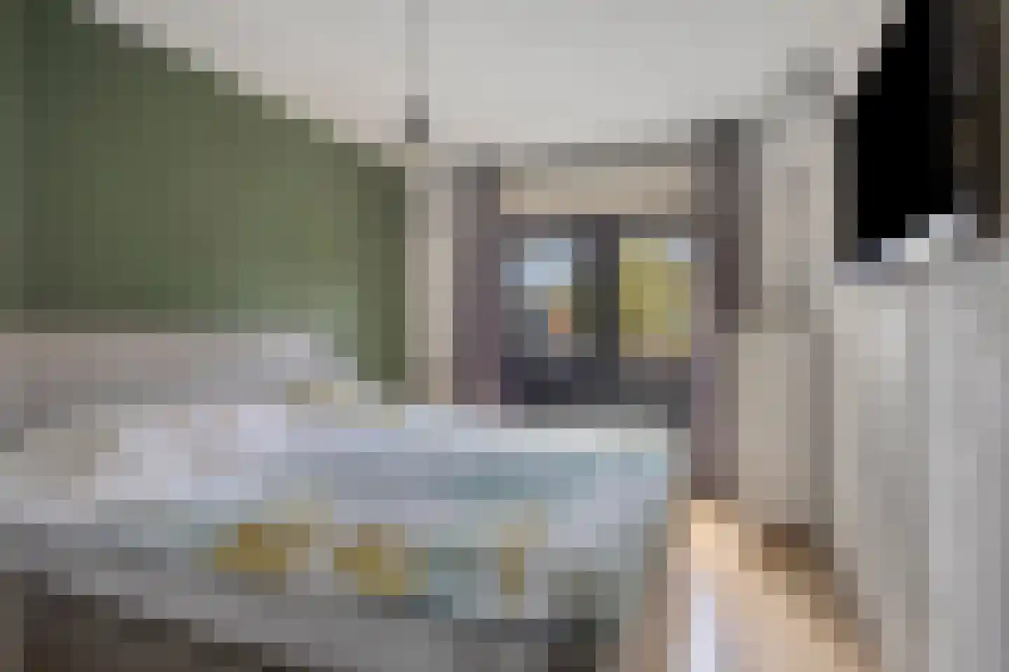 Sering 16 Cuijk thumbnail 27
