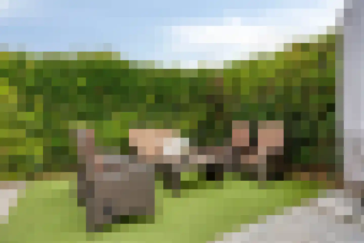 Sering 16 Cuijk thumbnail 44