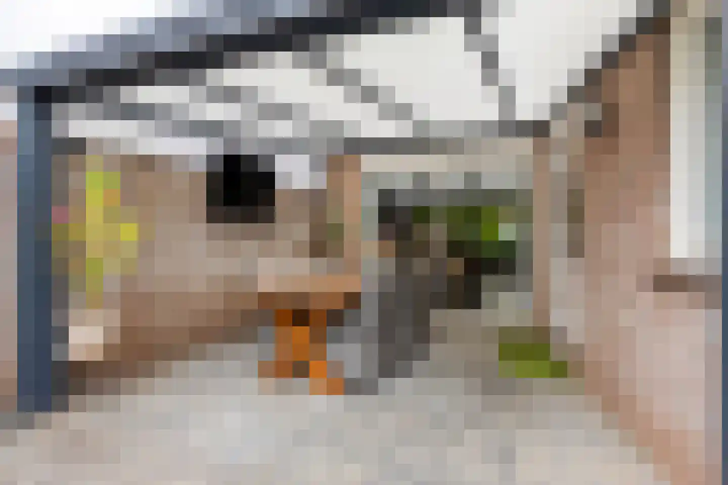 Sering 16 Cuijk thumbnail 48