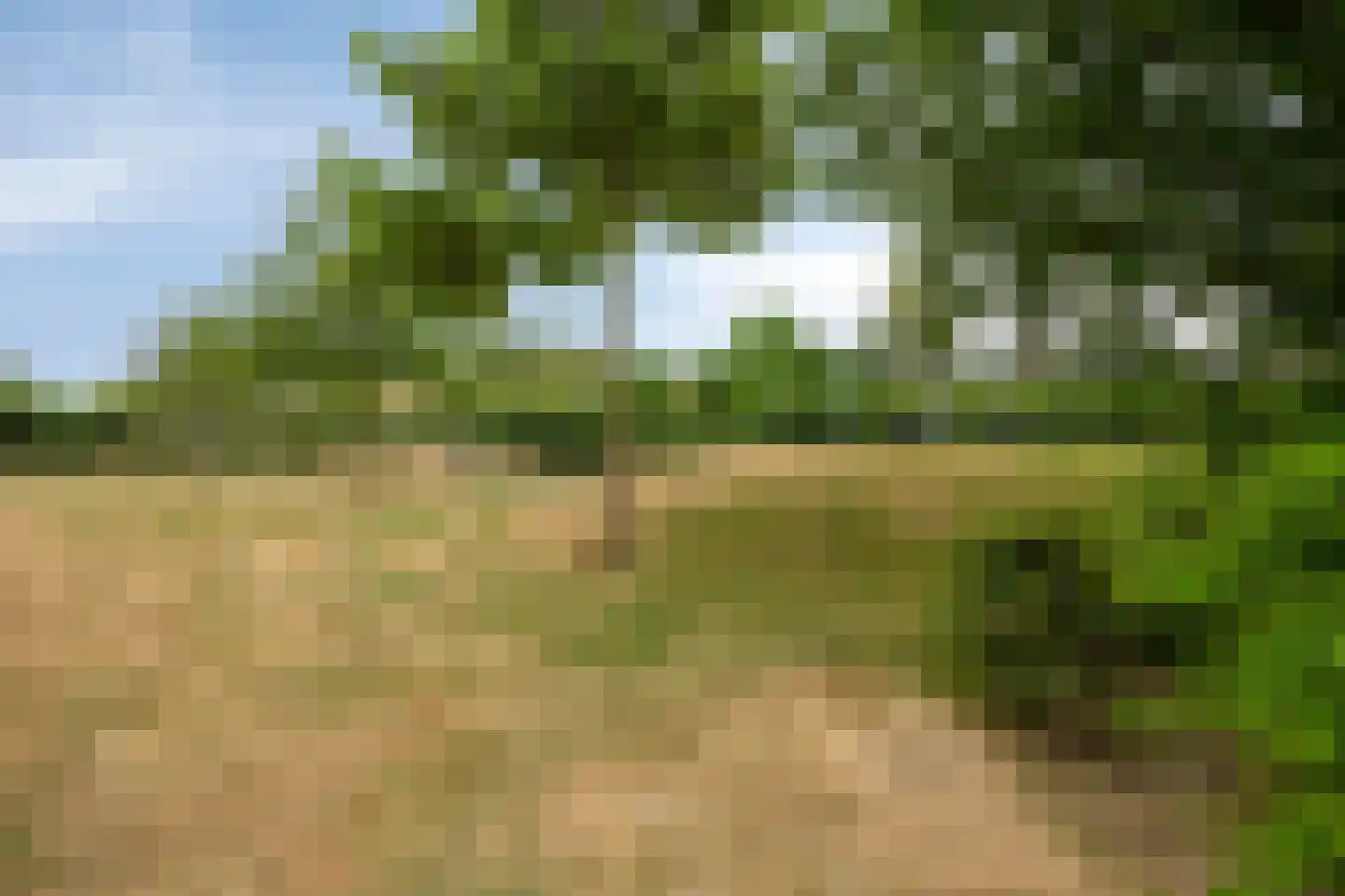 Sering 16 Cuijk thumbnail 49