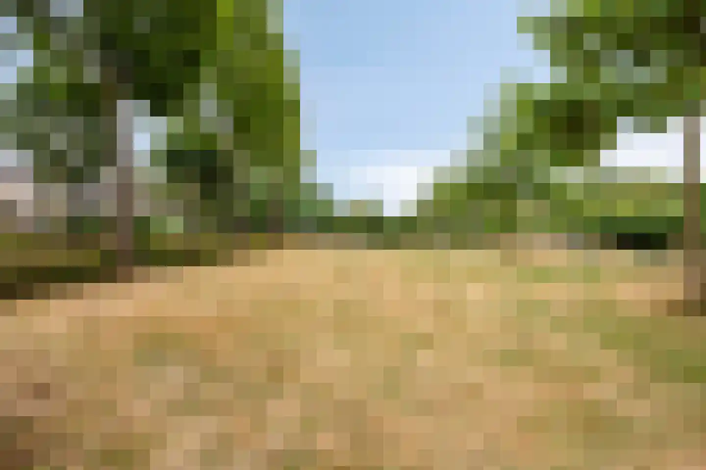 Sering 16 Cuijk thumbnail 50