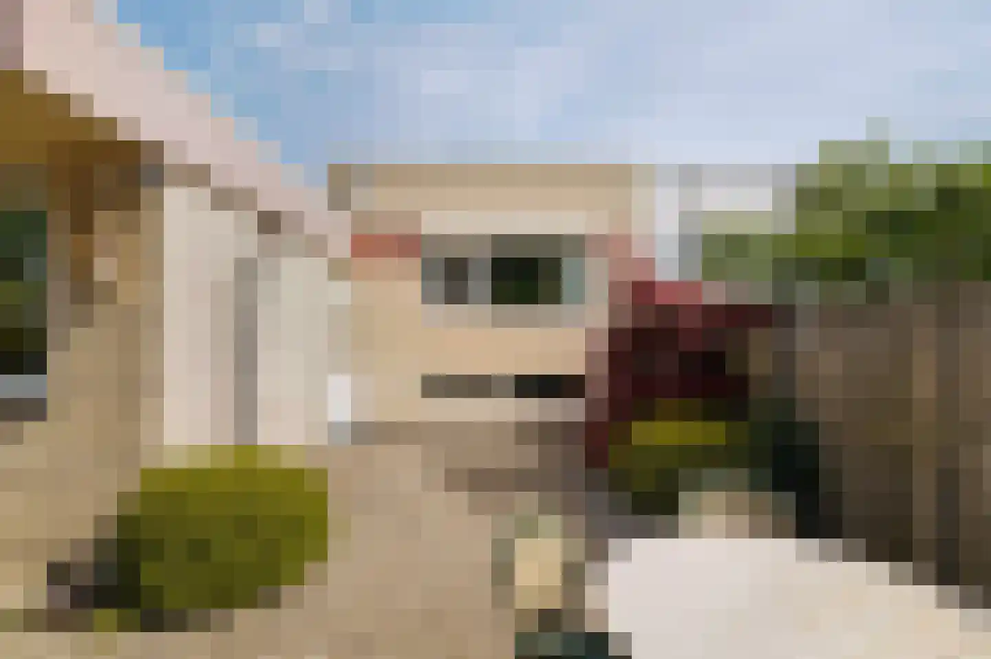 Sering 18 Rhoon thumbnail 33