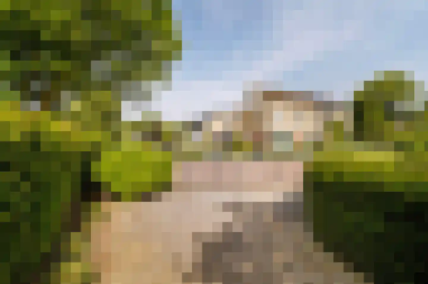 Sering 18 Rhoon thumbnail 34