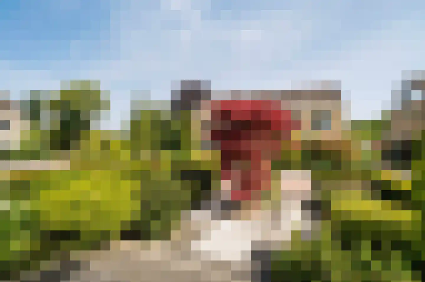 Sering 18 Rhoon thumbnail 37