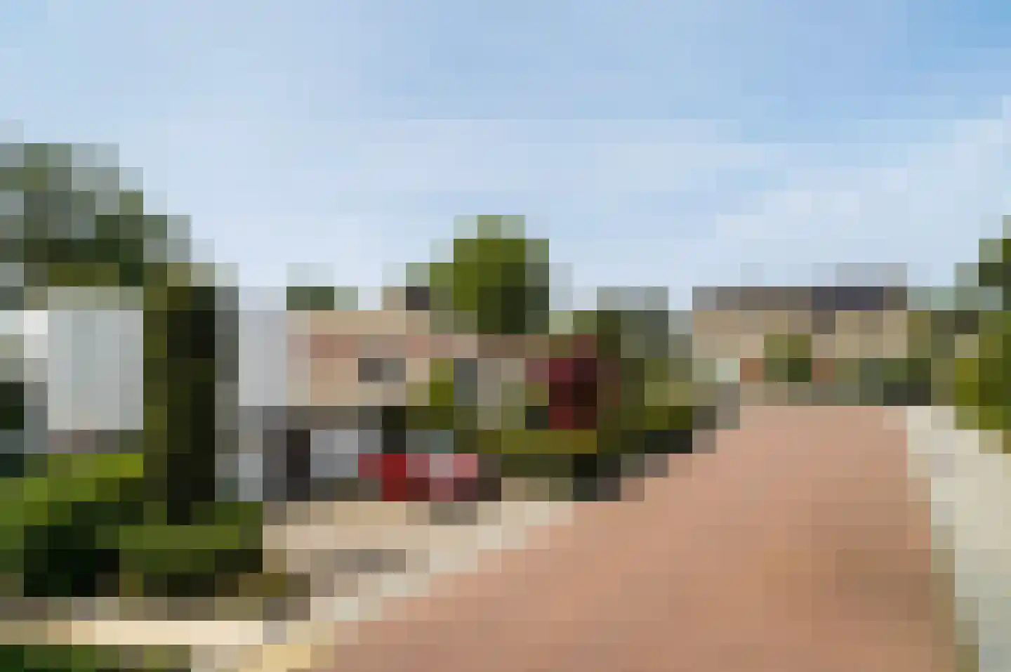 Sering 18 Rhoon thumbnail 38