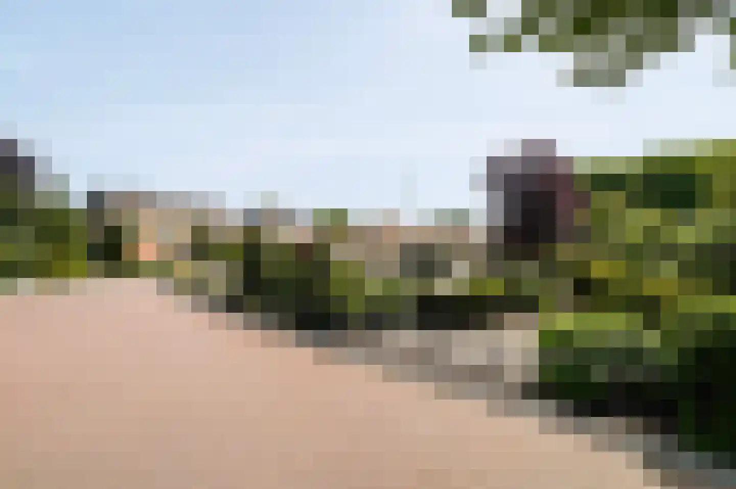 Sering 18 Rhoon thumbnail 39