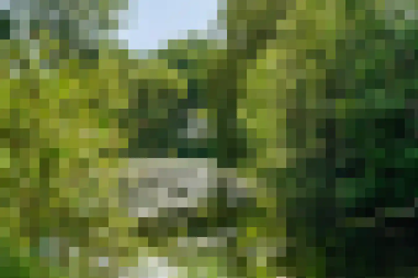 Sering 18 Rhoon thumbnail 40