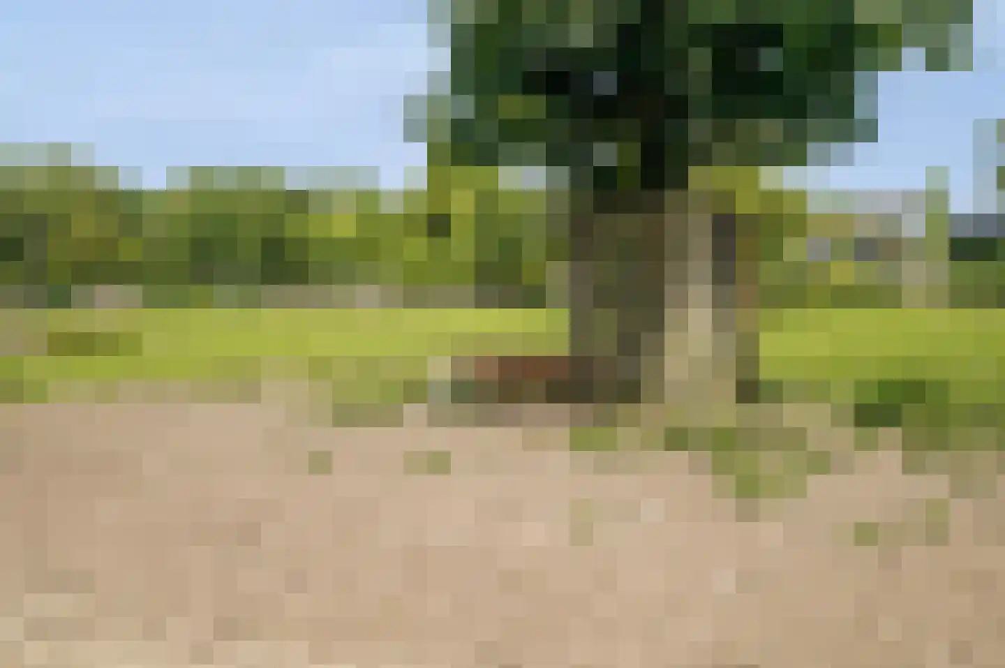 Sering 18 Rhoon thumbnail 43