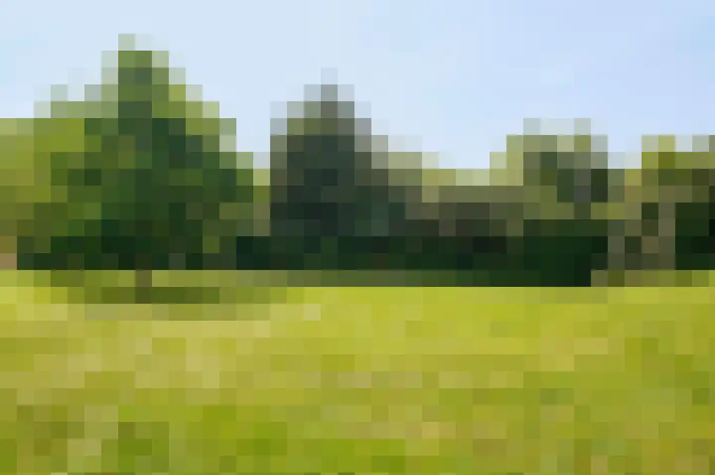Sering 18 Rhoon thumbnail 44