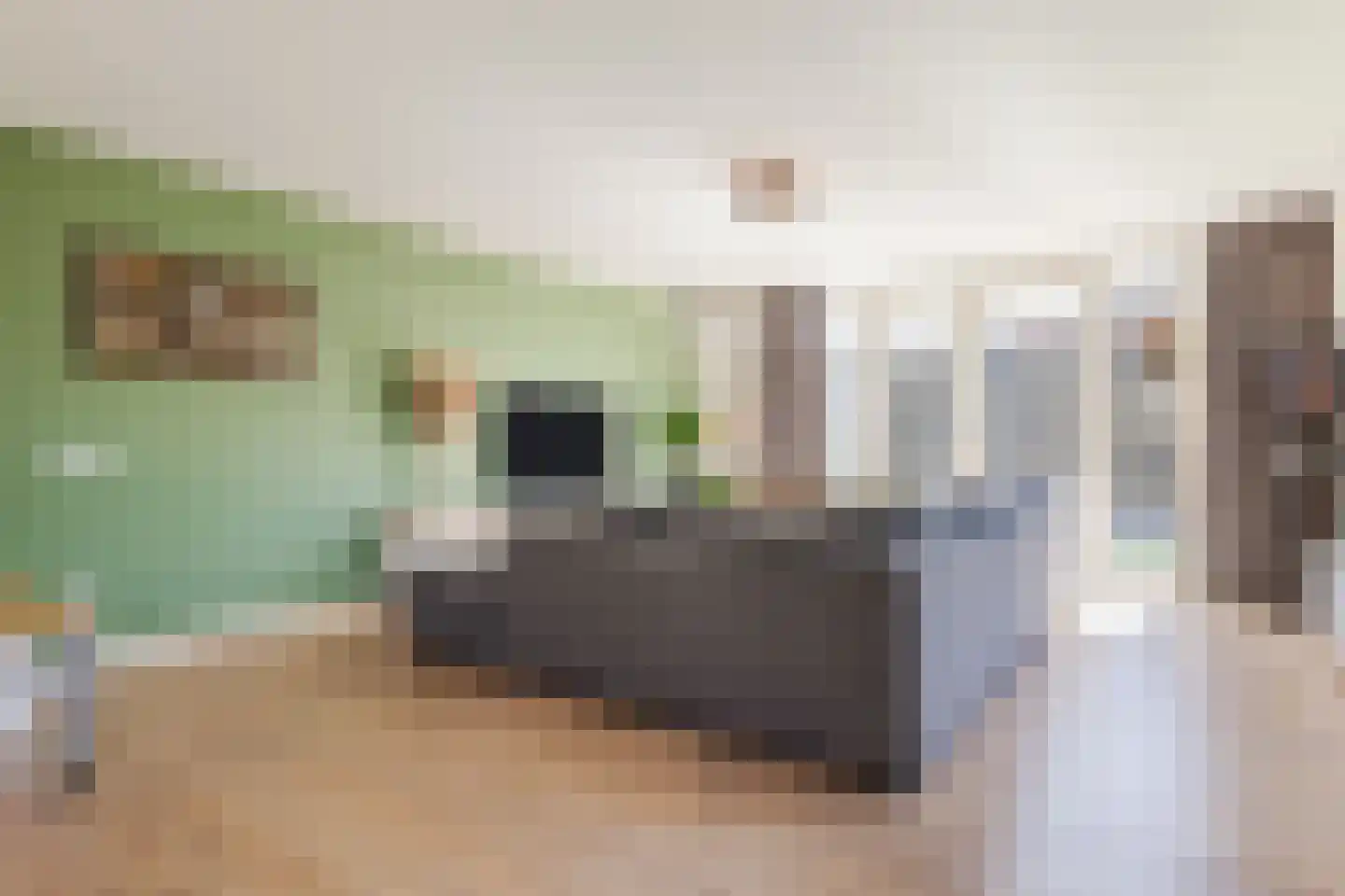 Sering 23 Cuijk thumbnail 12