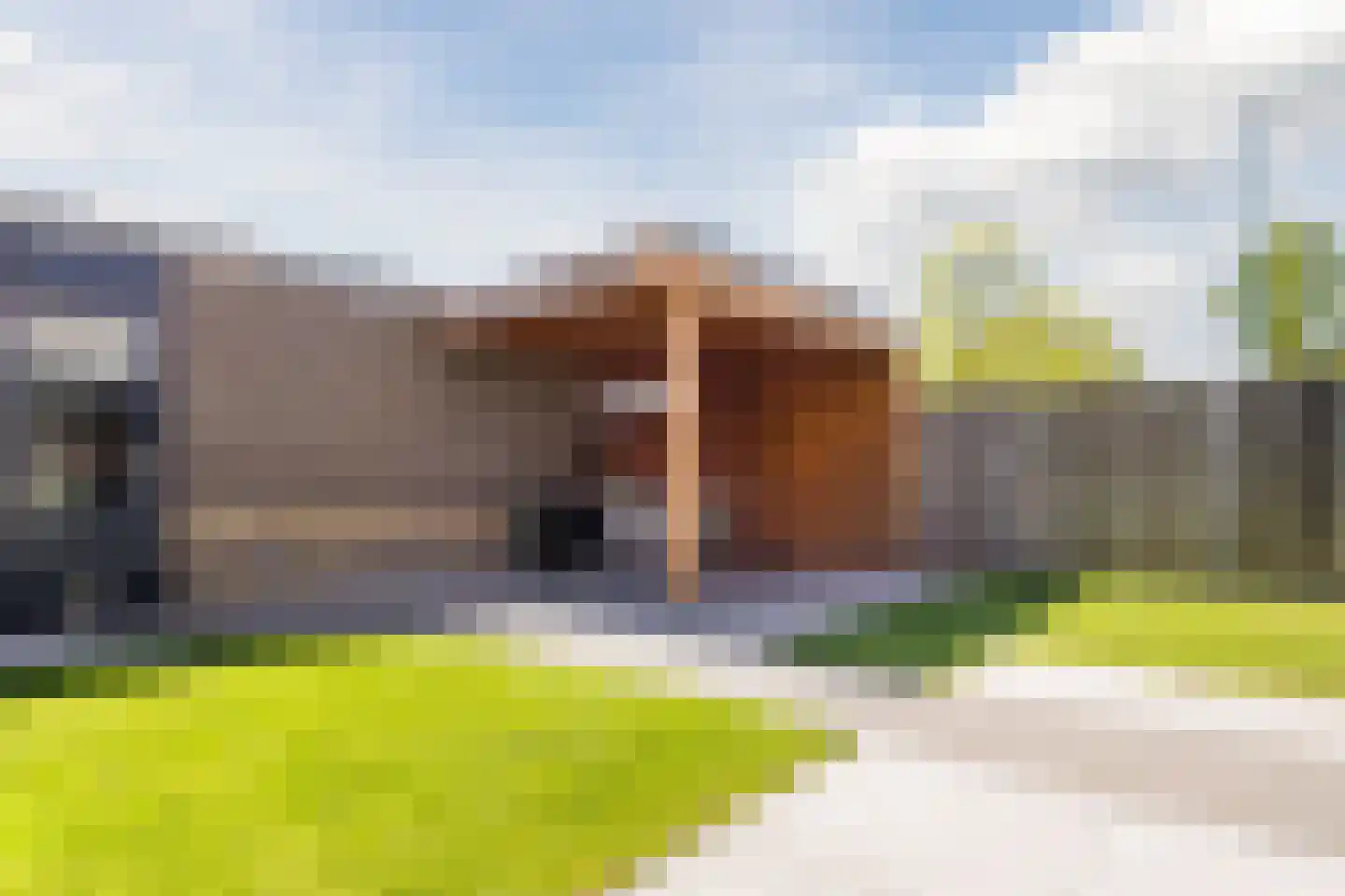 Sering 23 Cuijk thumbnail 4