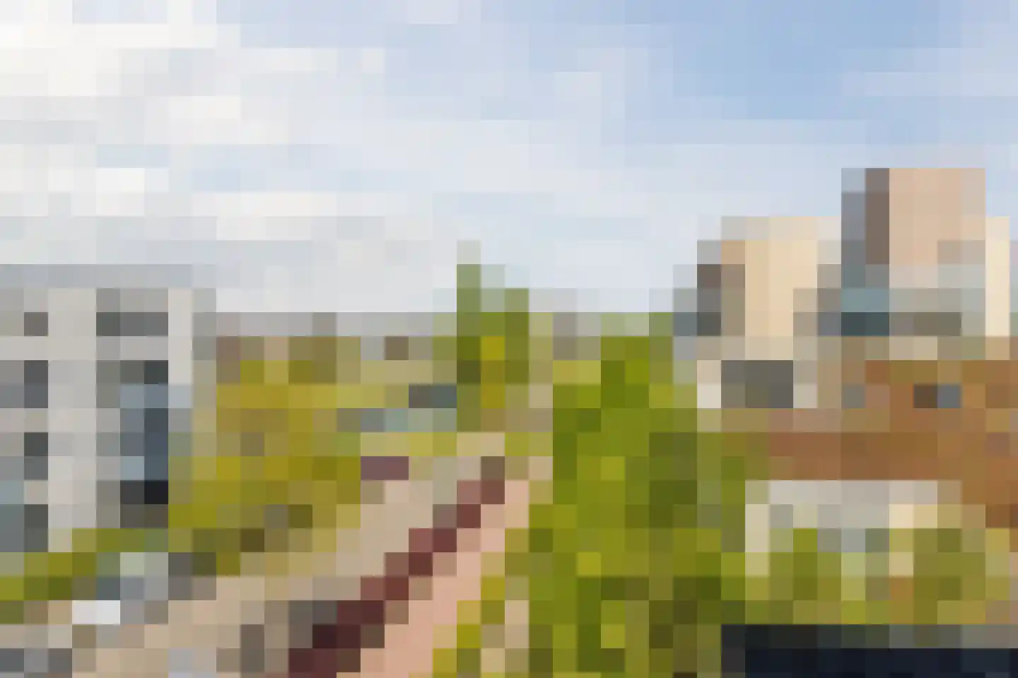 Sering 23 Cuijk thumbnail 41