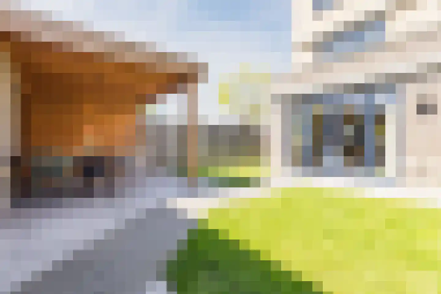Sering 23 Cuijk thumbnail 44