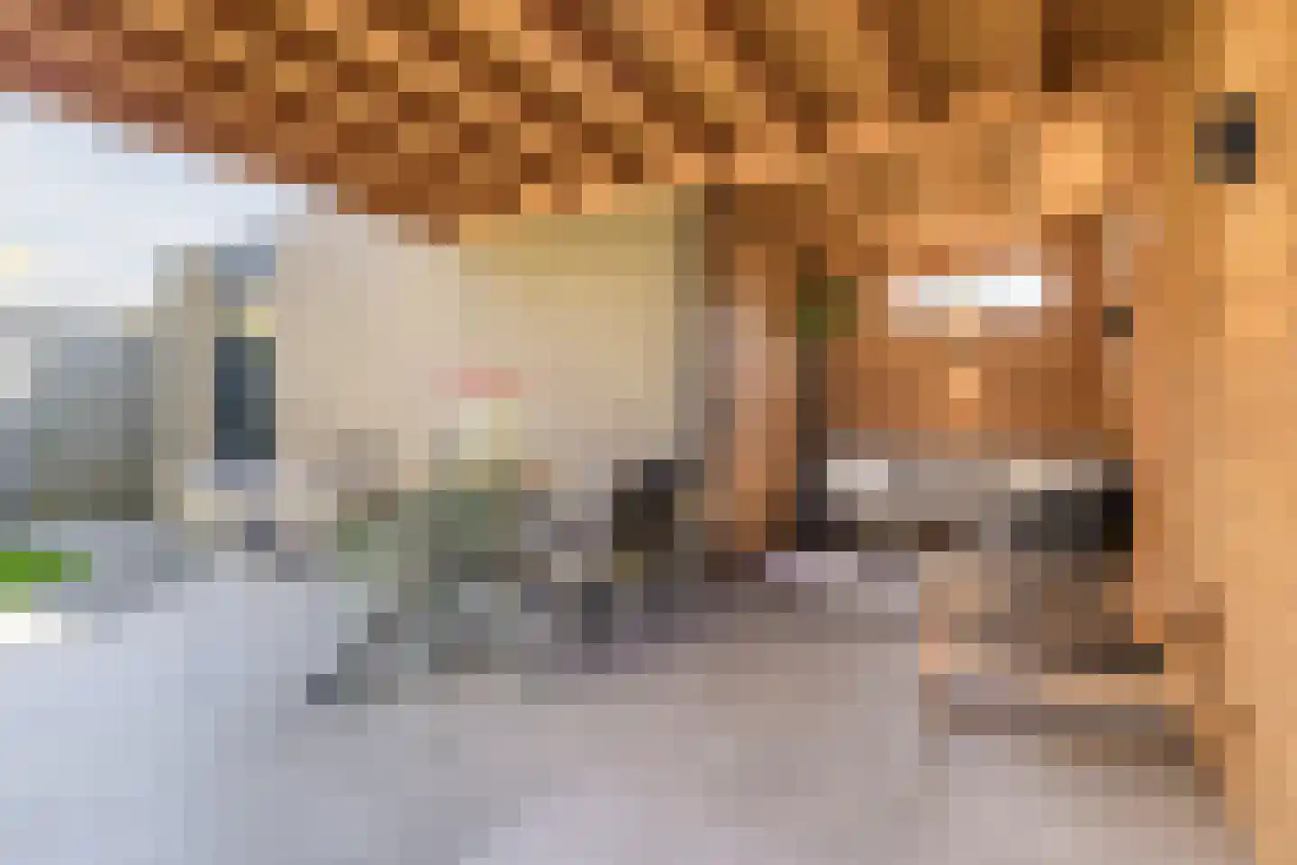 Sering 23 Cuijk thumbnail 45