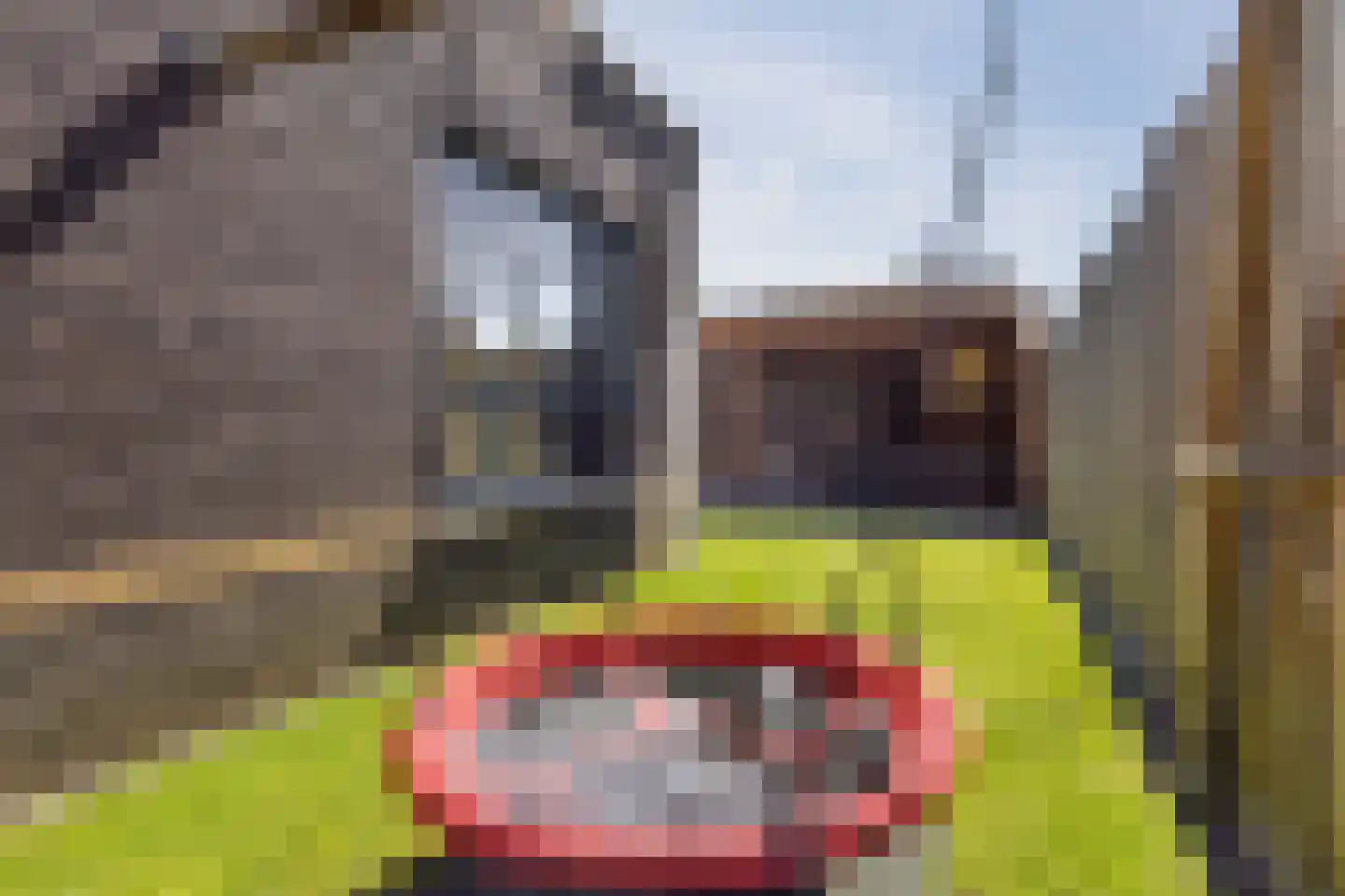 Sering 23 Cuijk thumbnail 47