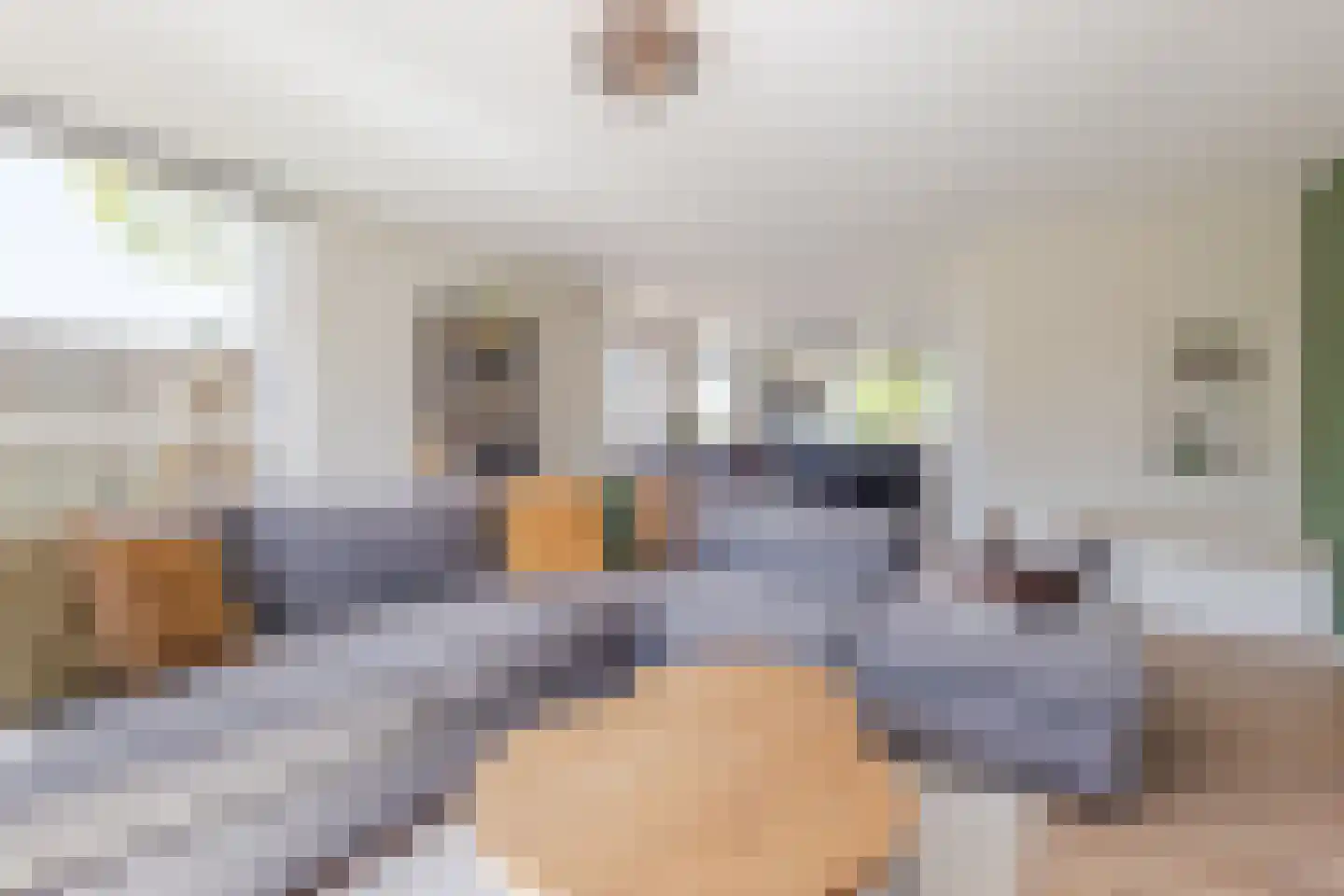 Sering 23 Cuijk thumbnail 9
