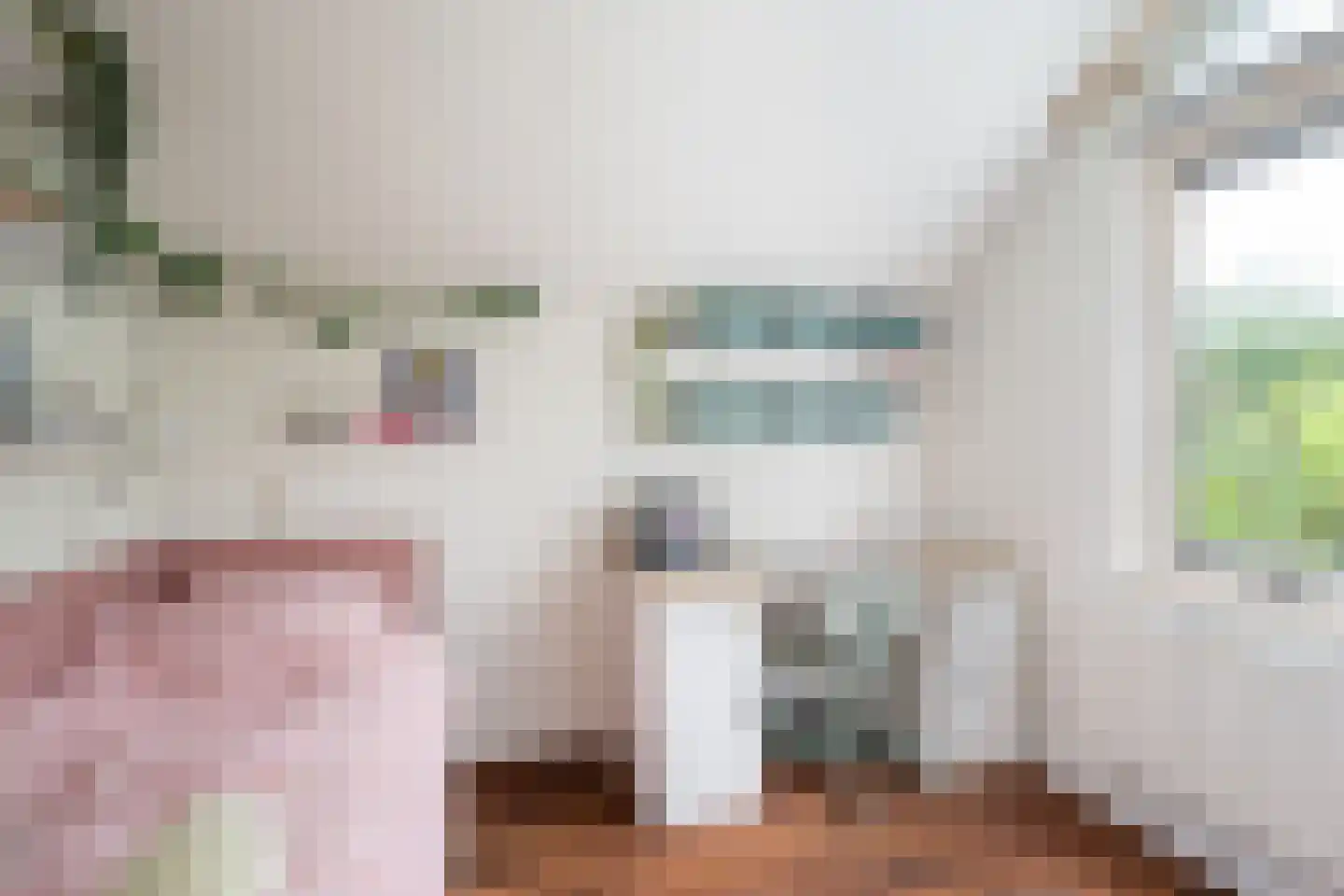 Sering 5 Hellevoetsluis thumbnail 33